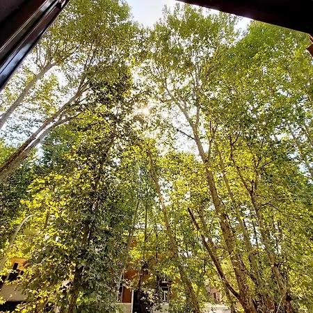 Parioli Self Check In * 罗马