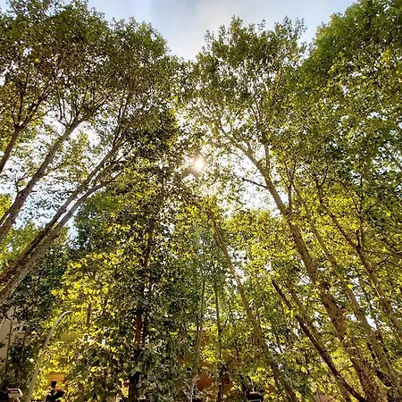 Parioli Self Check In 公寓 *