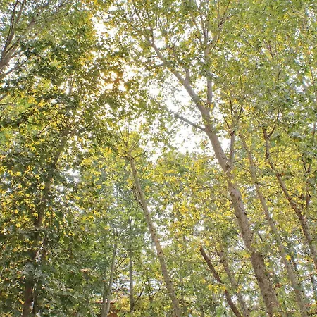 Parioli Self Check In 公寓