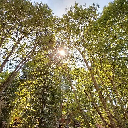 Parioli Self Check In 罗马