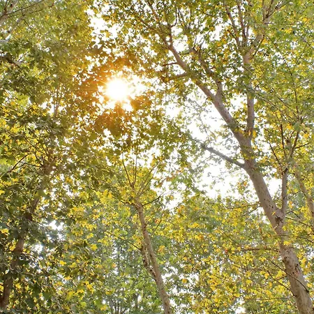 Parioli Self Check In *