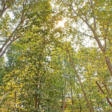 公寓 Parioli Self Check In *