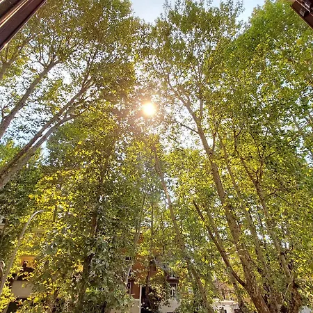 Parioli Self Check In 公寓 *